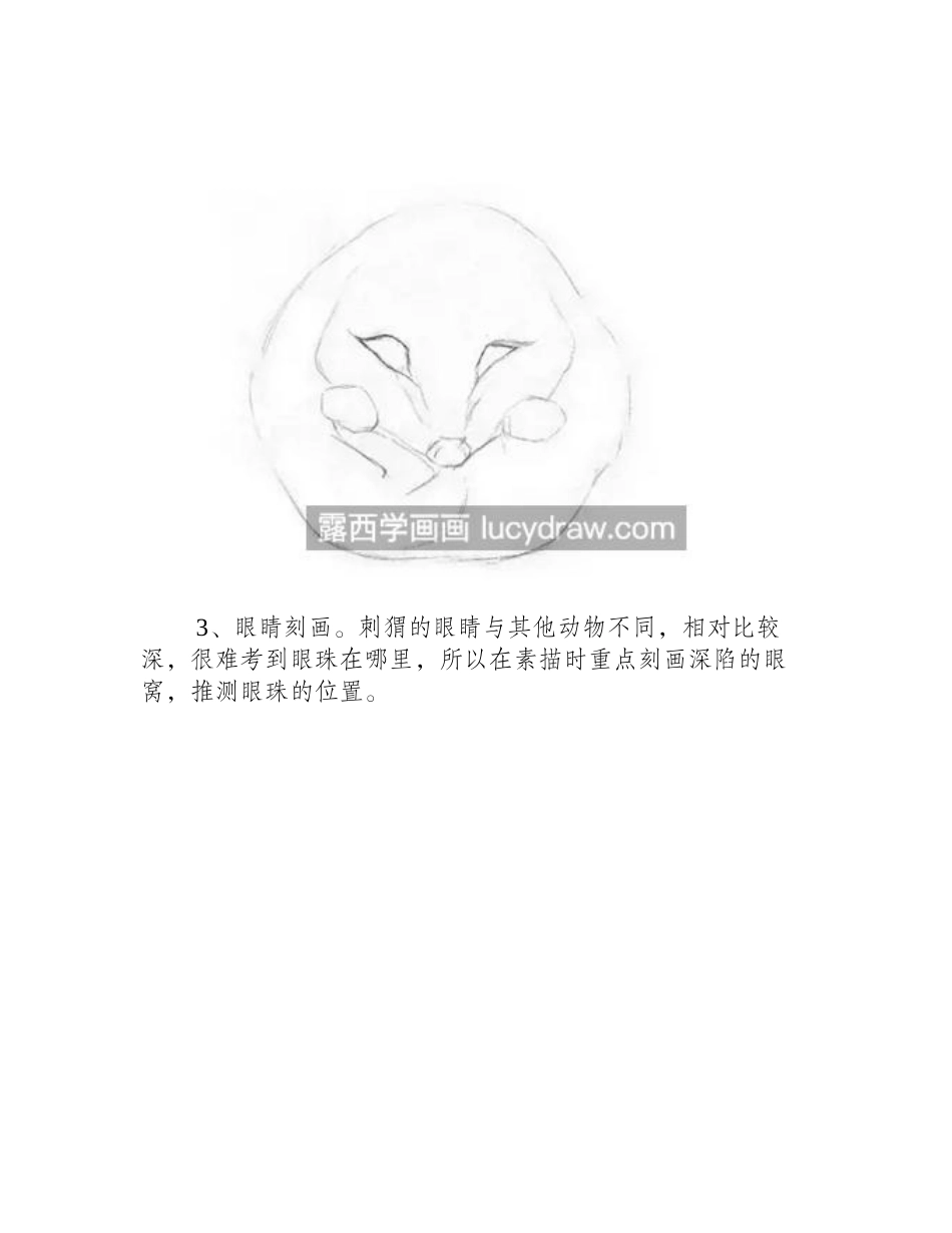 小刺猬怎么画_有哪些素描步骤_素描教程_第2页