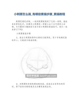 小刺猬怎么画_有哪些素描步骤_素描教程