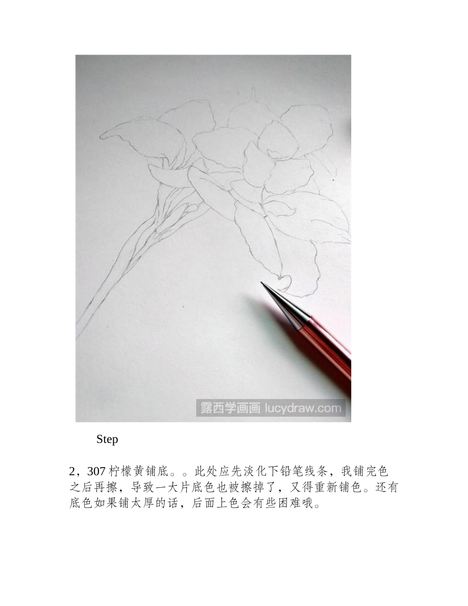 怎么用彩铅画美人蕉彩铅画教程_第2页