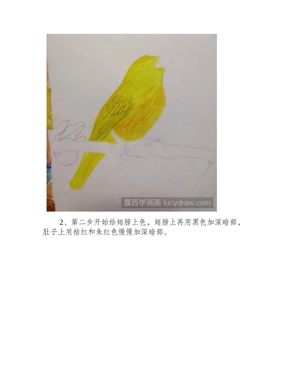 小黄鸟怎么画_水彩雀之灵具体画法是什么_水彩画教程_第2页