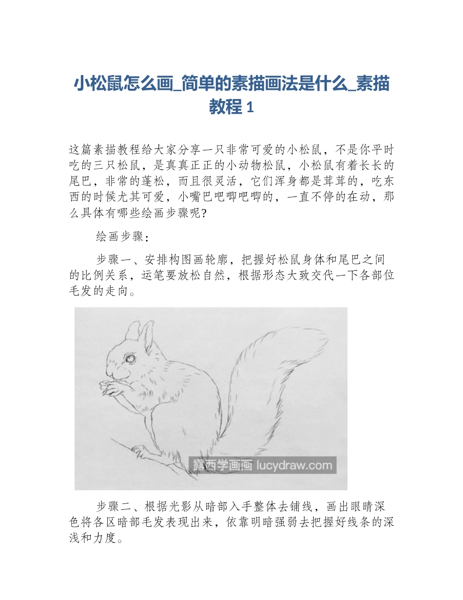 小松鼠怎么画_简单的素描画法是什么_素描教程1_第1页