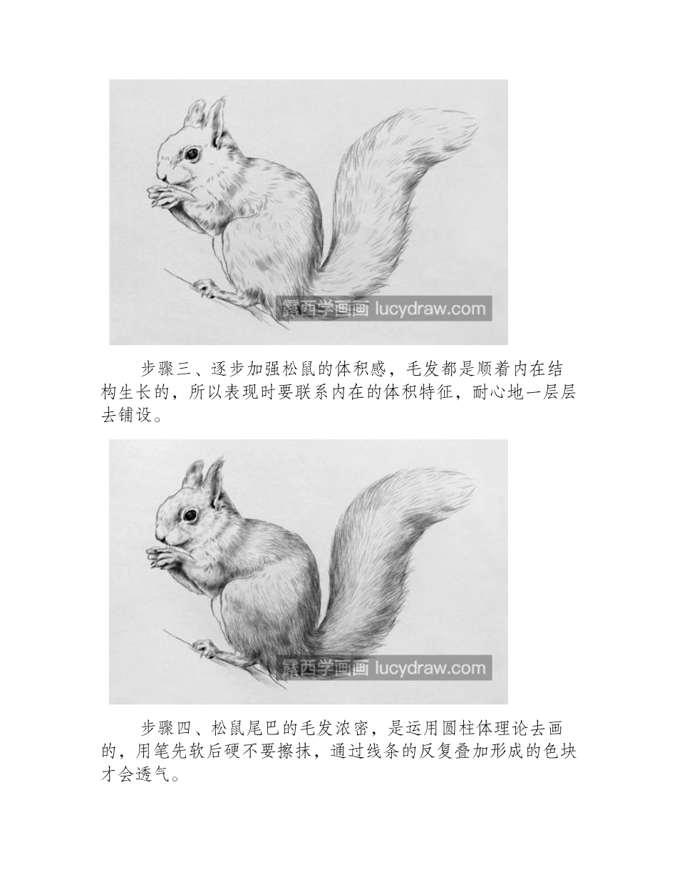小松鼠怎么画_简单的素描画法是什么_素描教程1_第2页