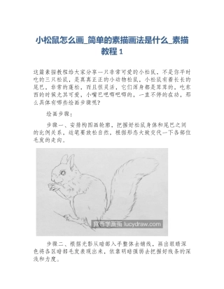 小松鼠怎么画_简单的素描画法是什么_素描教程1
