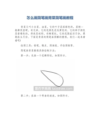 怎么画简笔画青菜简笔画教程