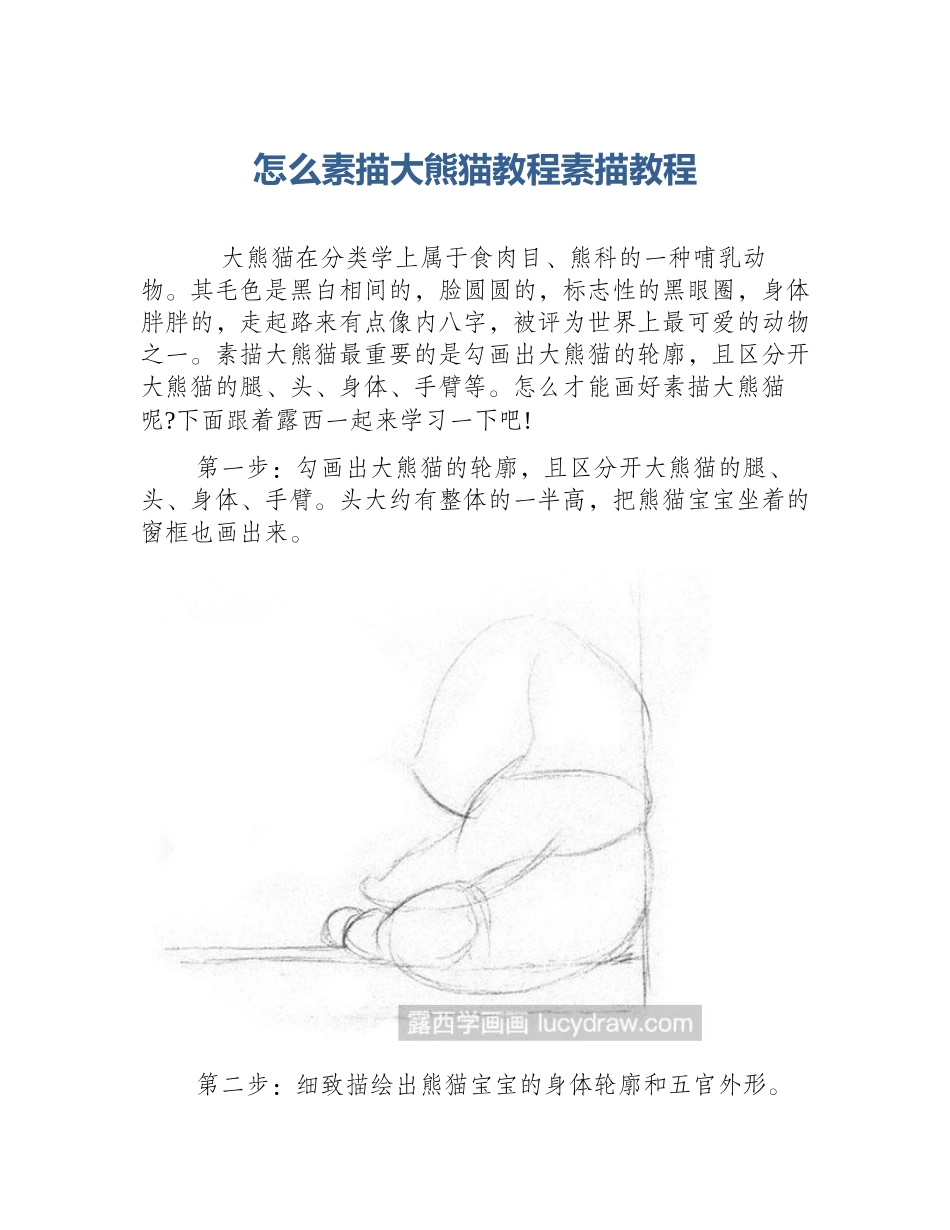 怎么素描大熊猫教程素描教程_第1页