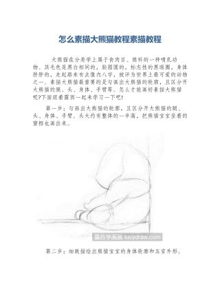 怎么素描大熊猫教程素描教程