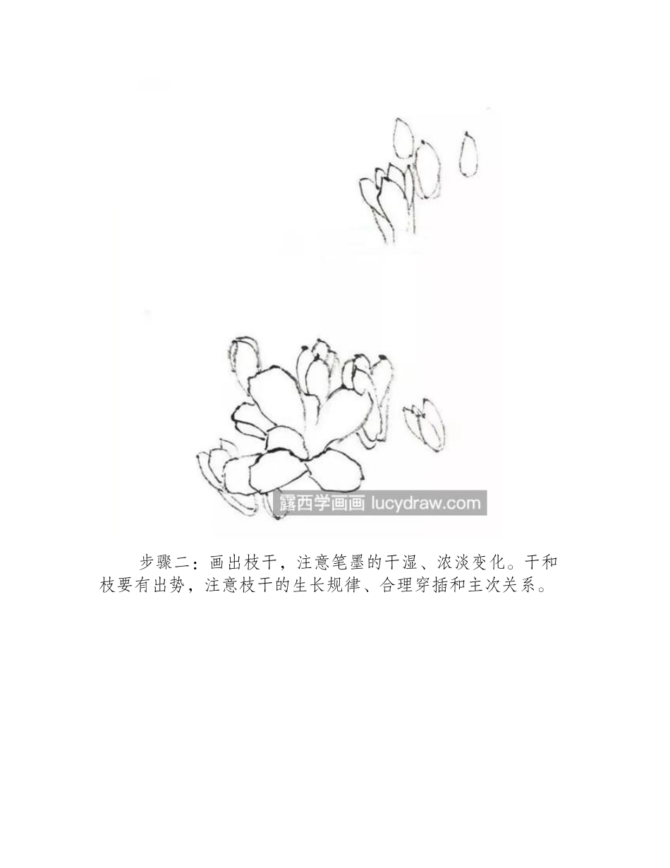玉兰花怎么画_彩墨玉兰的画法是什么_国画教程_第2页