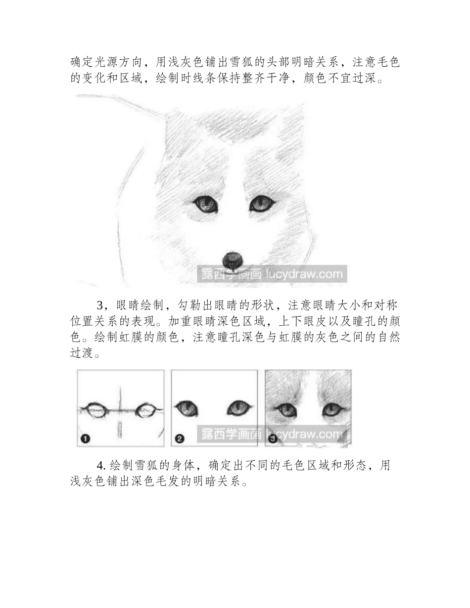 雪狐素描教程素描教程_第2页