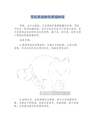雪狐素描教程素描教程