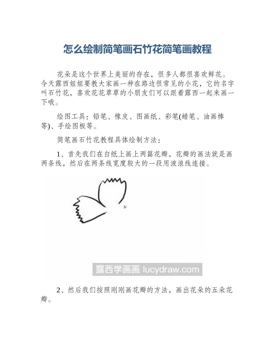 怎么绘制简笔画石竹花简笔画教程_第1页