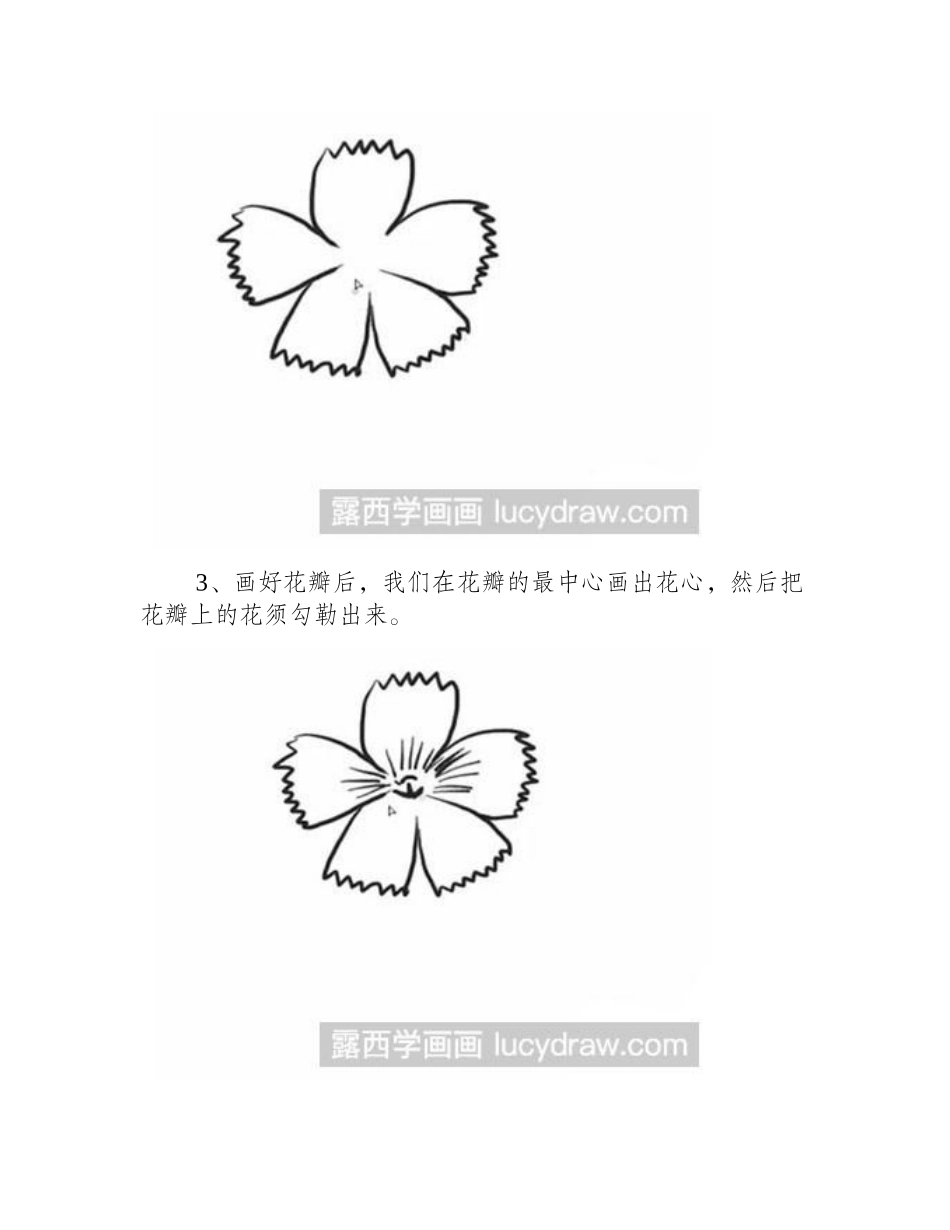 怎么绘制简笔画石竹花简笔画教程_第2页