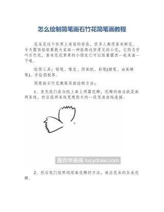 怎么绘制简笔画石竹花简笔画教程