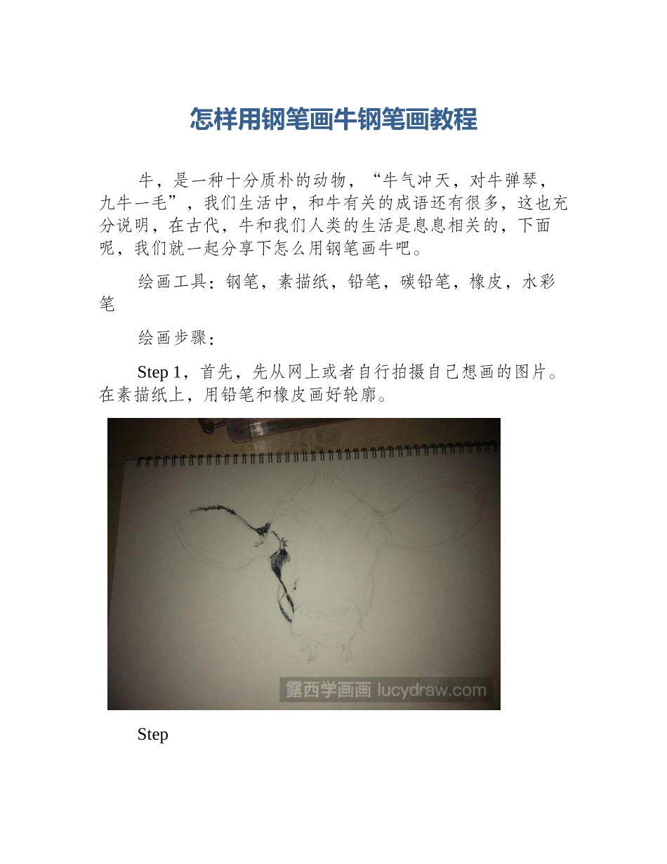 怎样用钢笔画牛钢笔画教程_第1页
