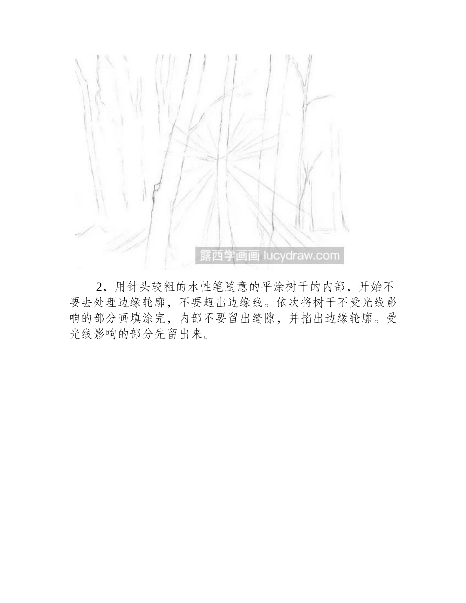 一缕阳光素描教程素描教程_第2页