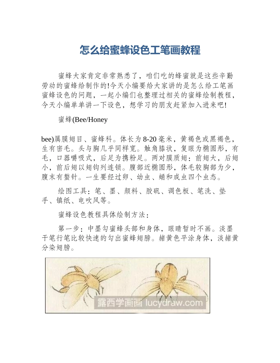 怎么给蜜蜂设色工笔画教程_第1页