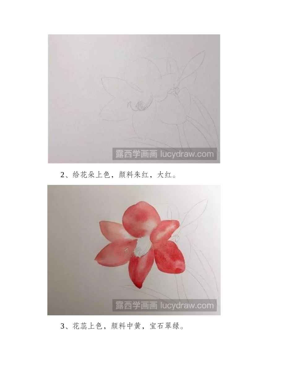 朱顶红水彩画怎么画水彩画教程_第2页