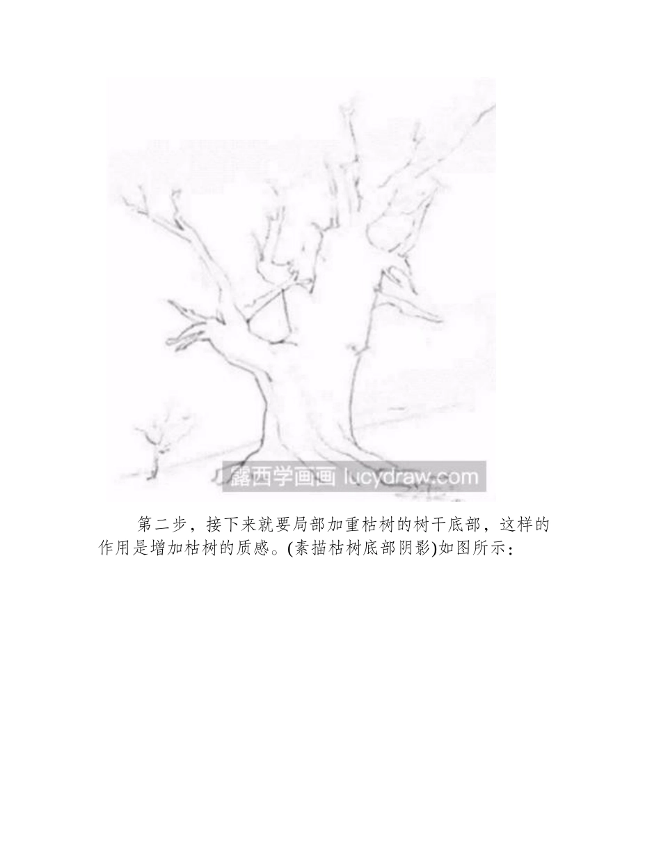 怎么画枯树的素描画素描教程_第2页