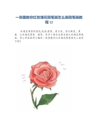 一张图教你红玫瑰花简笔画怎么画简笔画教程12