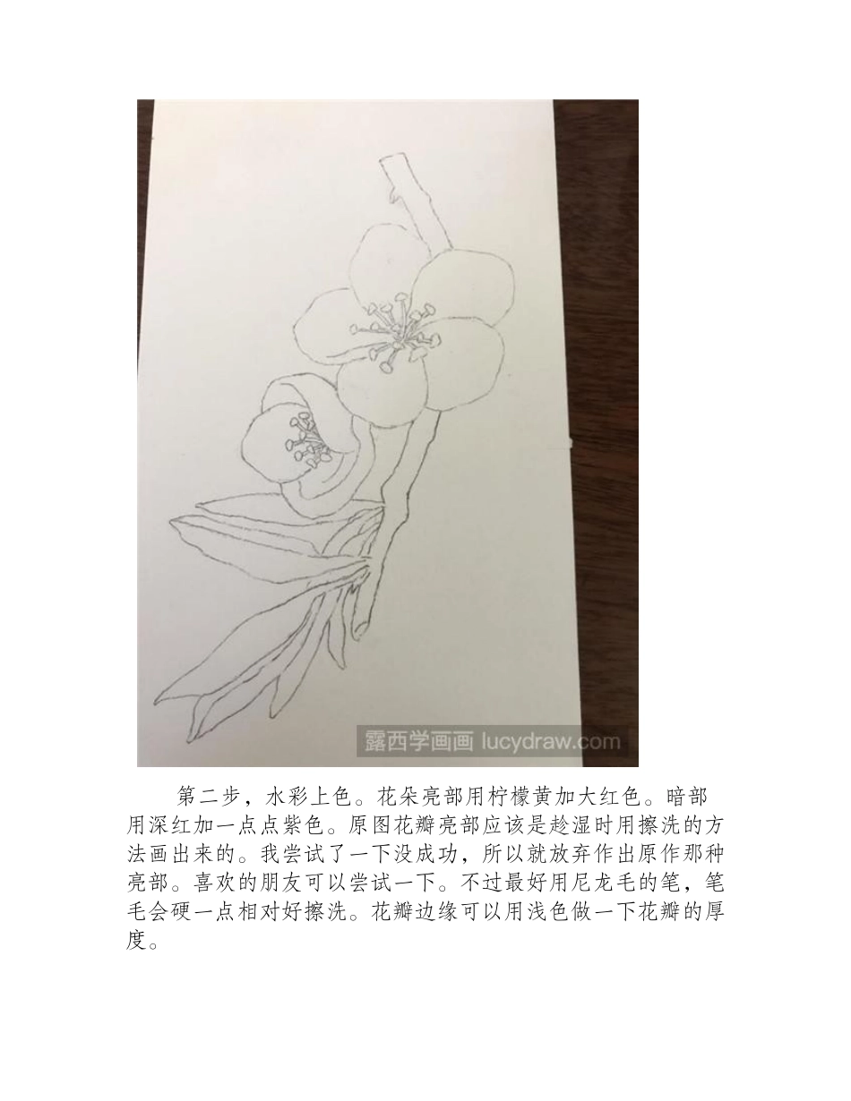 怎么用水彩画桃花水彩画教程_第2页