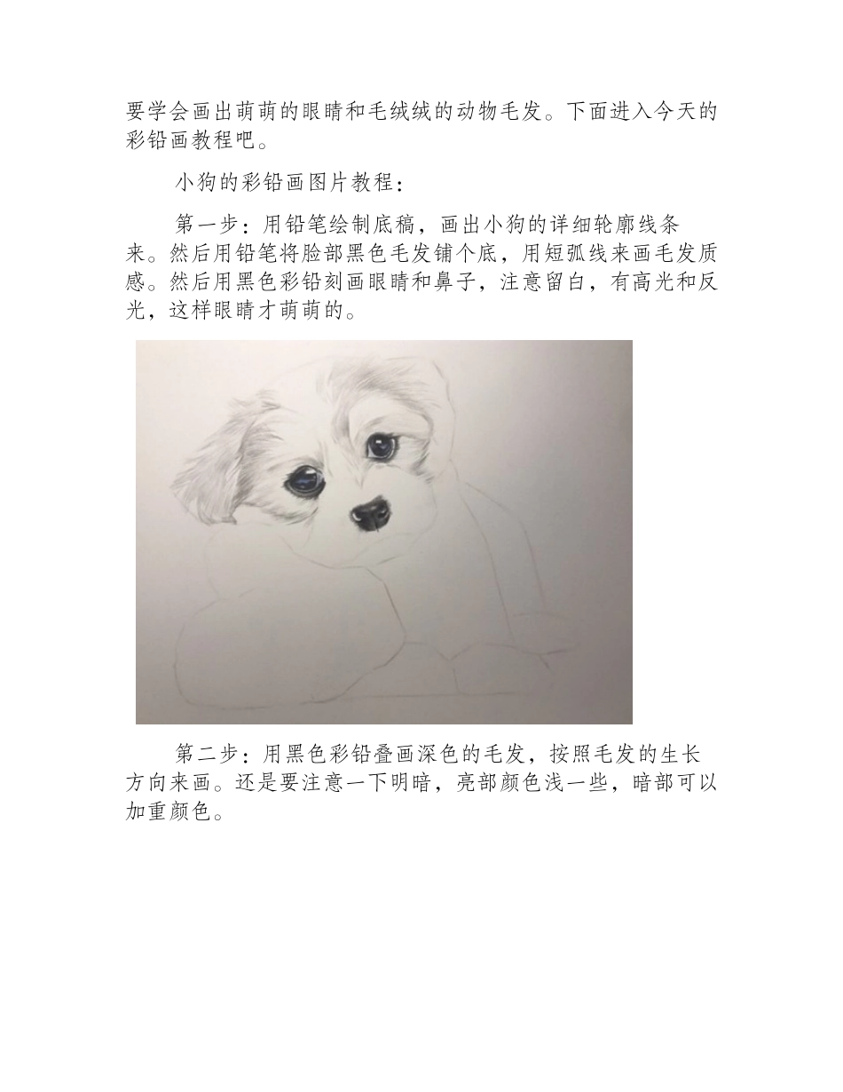小狗的彩铅画图片教程彩铅画教程2_第2页