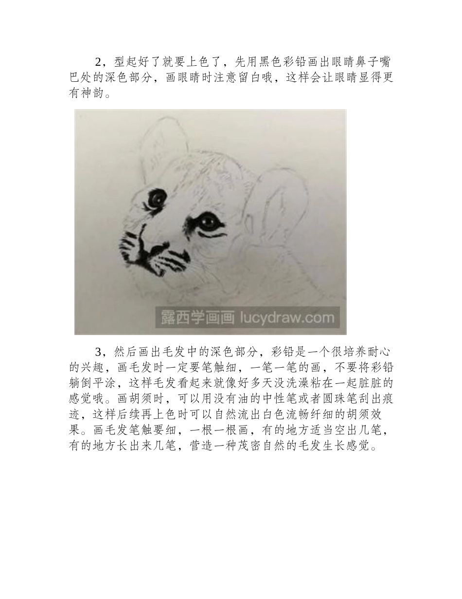小老虎彩铅画教程彩铅画教程1_第2页