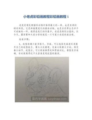 小老虎彩铅画教程彩铅画教程1