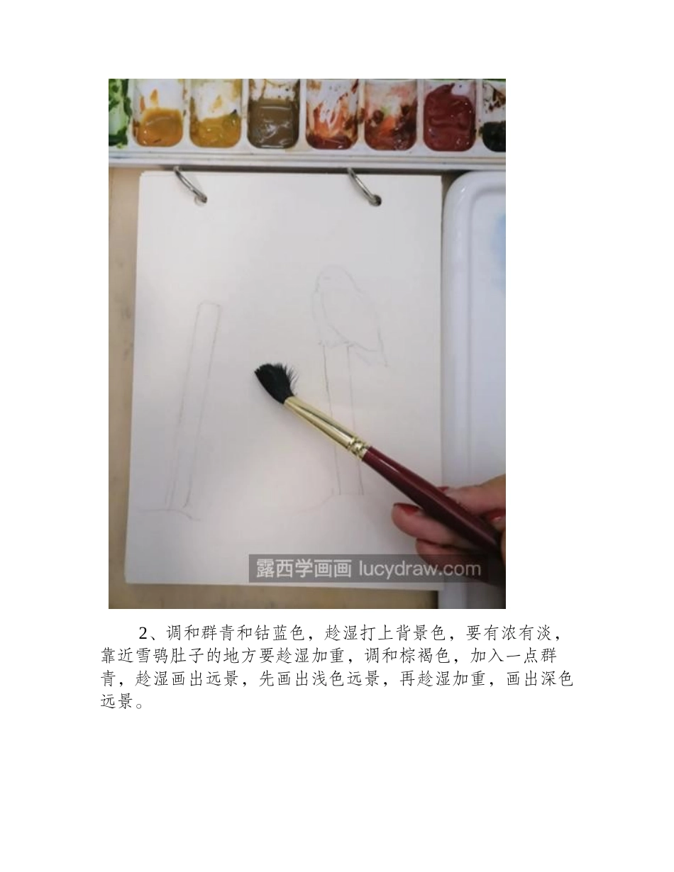雪鸮怎么画_详细的水彩画法是什么_水彩画教程_第2页