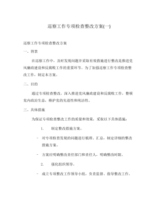 巡察工作专项检查整改方案(一) 