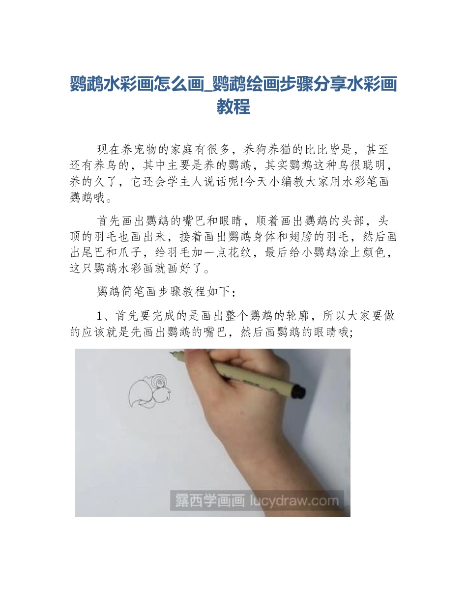 鹦鹉水彩画怎么画_鹦鹉绘画步骤分享水彩画教程_第1页