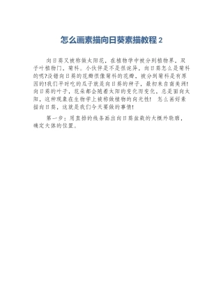 怎么画素描向日葵素描教程2