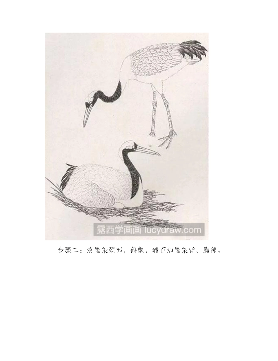 怎么绘制丹顶鹤工笔画教程_第2页