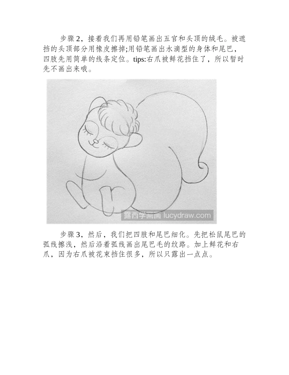 小松鼠彩铅画教程彩铅画教程1_第2页