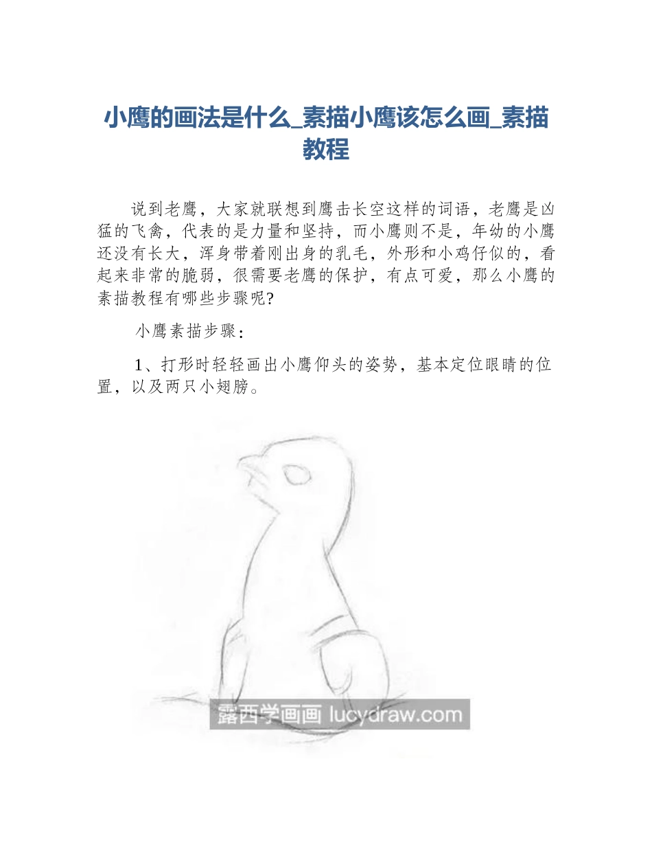 小鹰的画法是什么_素描小鹰该怎么画_素描教程_第1页