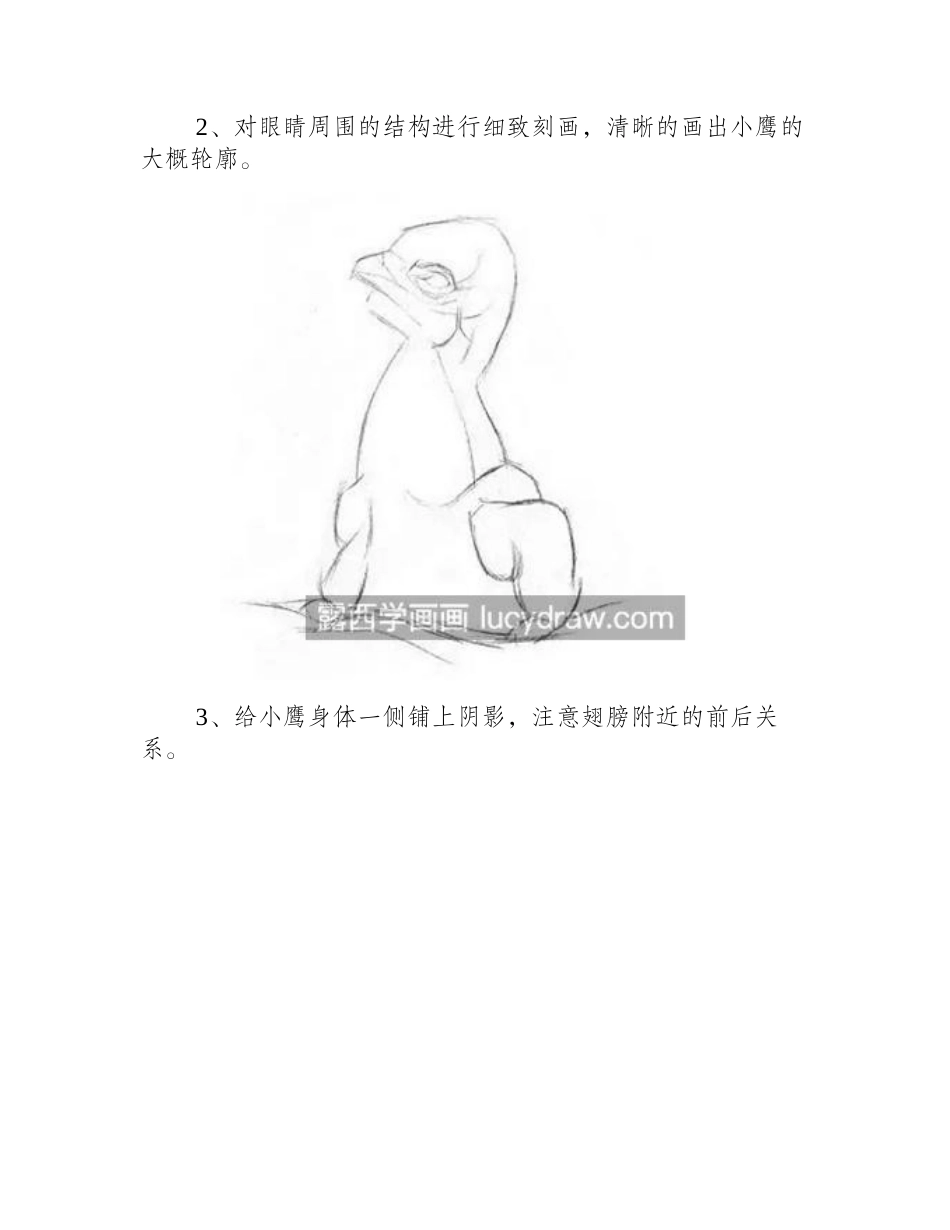 小鹰的画法是什么_素描小鹰该怎么画_素描教程_第2页