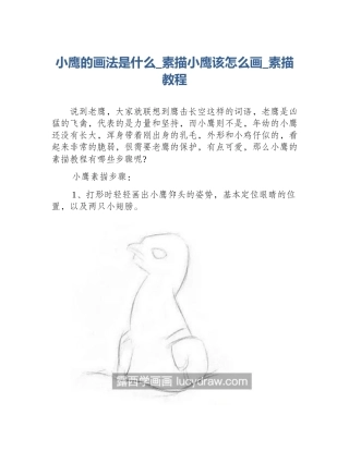 小鹰的画法是什么_素描小鹰该怎么画_素描教程