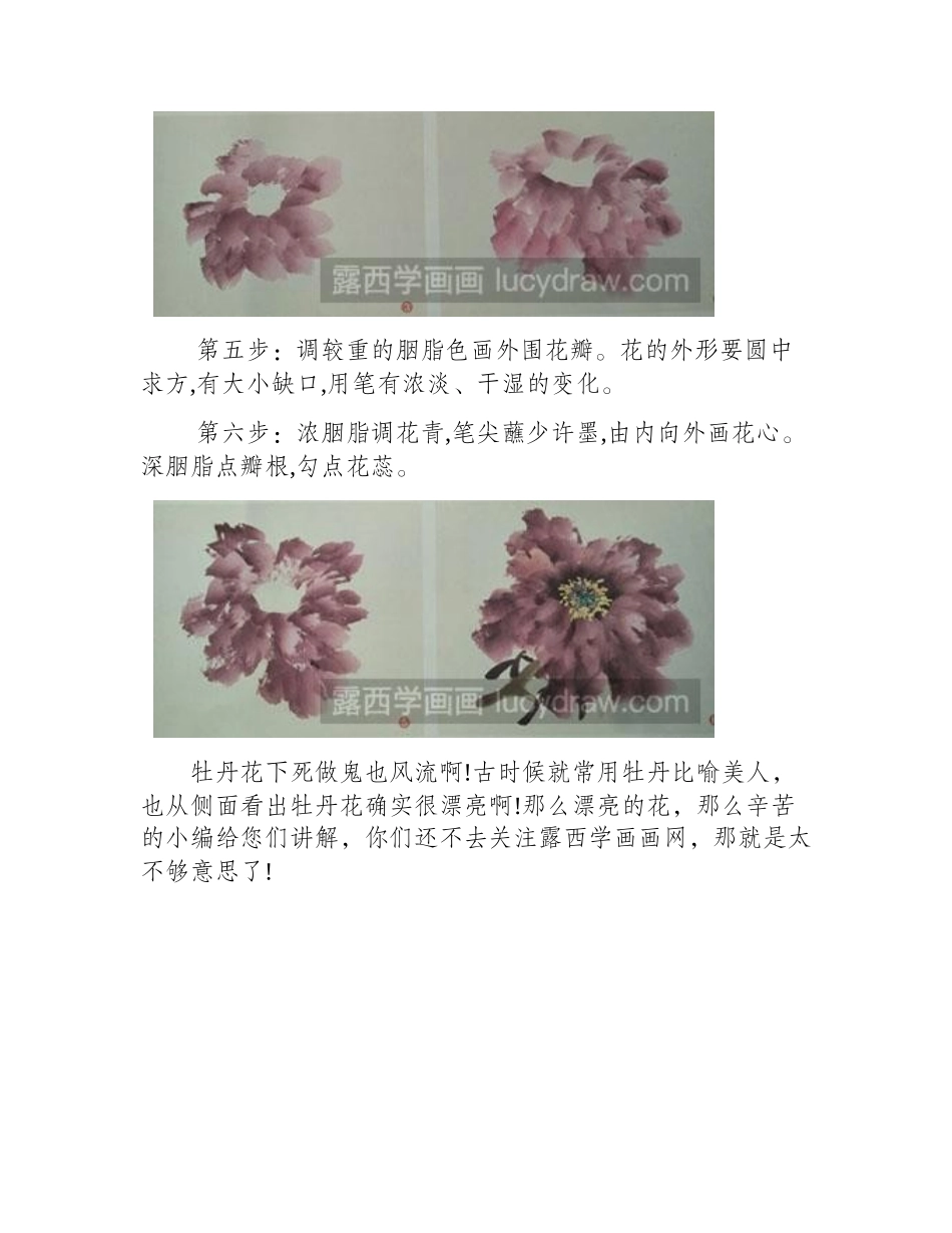 怎么绘制国画牡丹花头(全开正面)国画教程_第2页