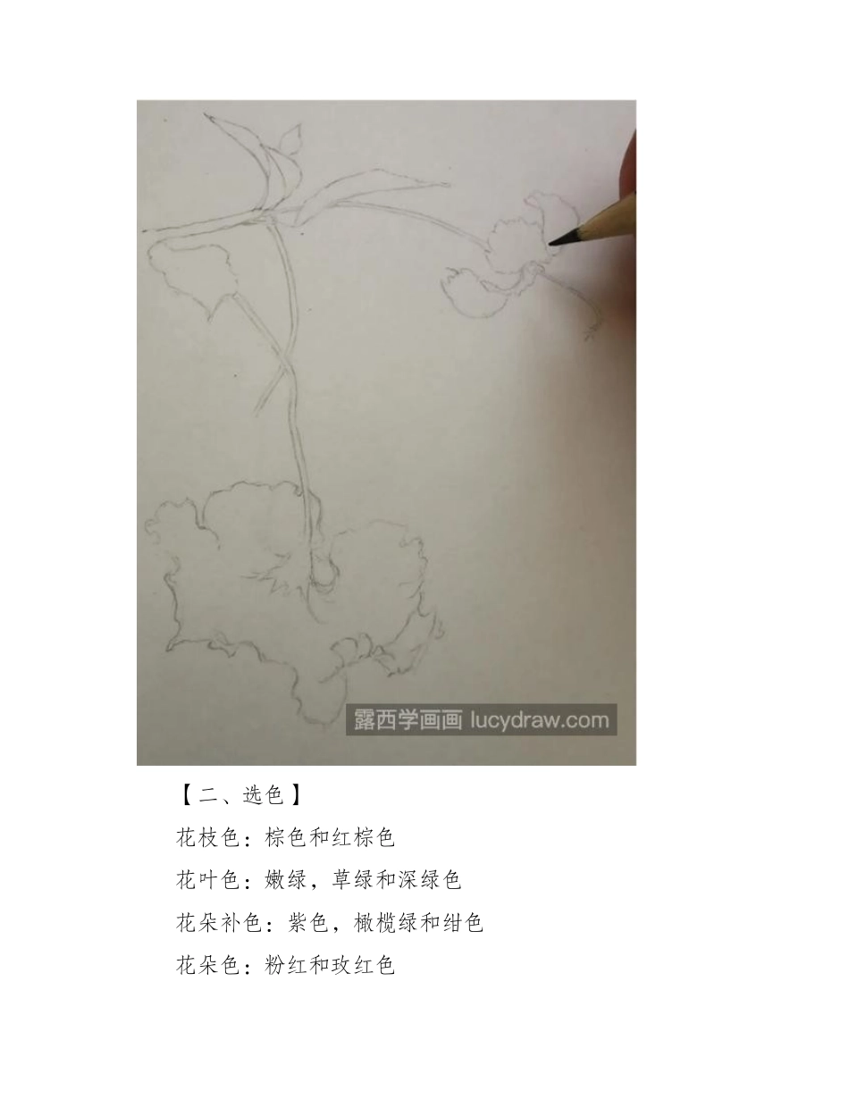 朱瑾花怎么画_扶桑花的画法是什么_水彩画教程_第2页