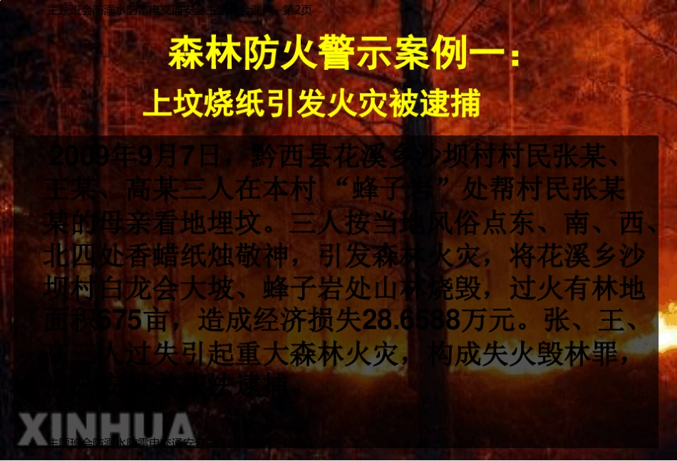 主题班会防溺水防雷电交通安全主题班会课件_第2页