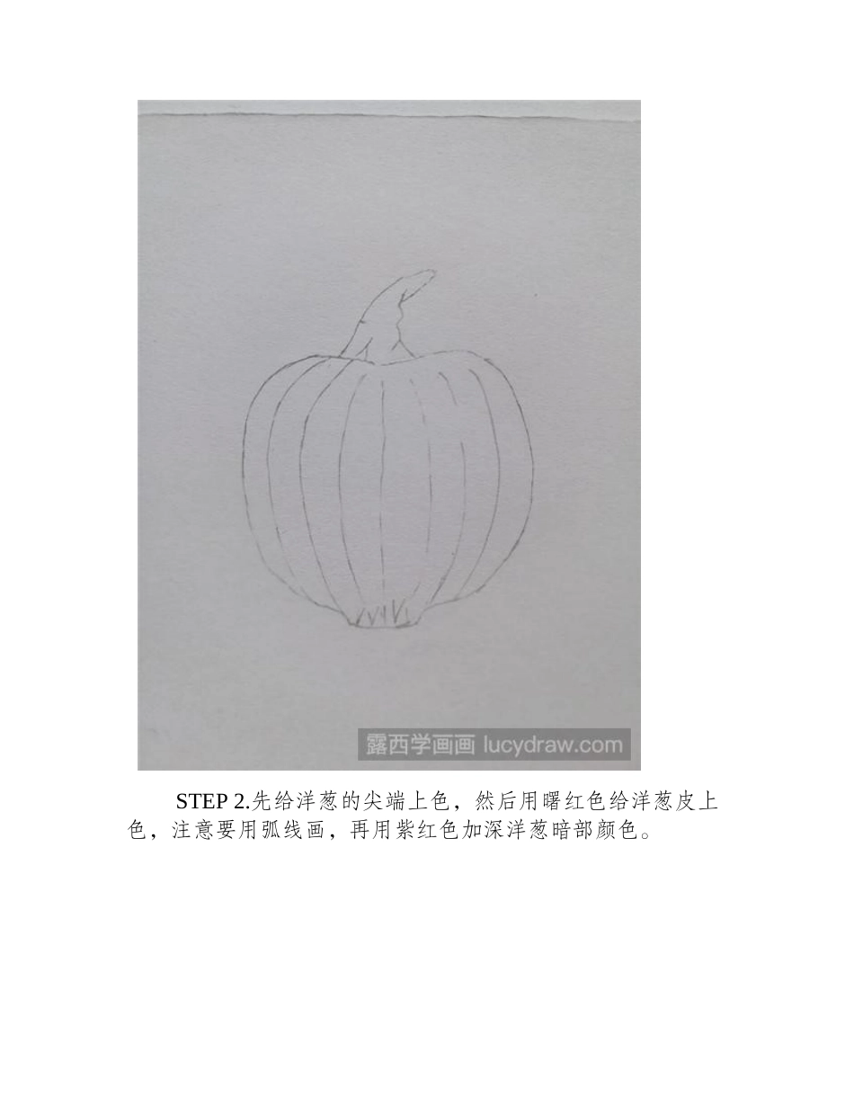 洋葱彩铅画教程彩铅画教程_第2页