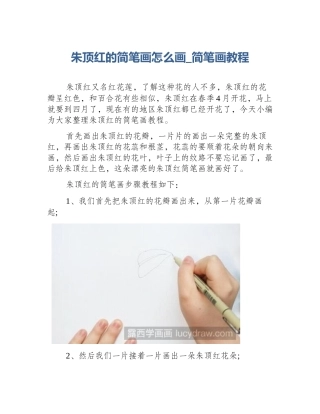 朱顶红的简笔画怎么画_简笔画教程