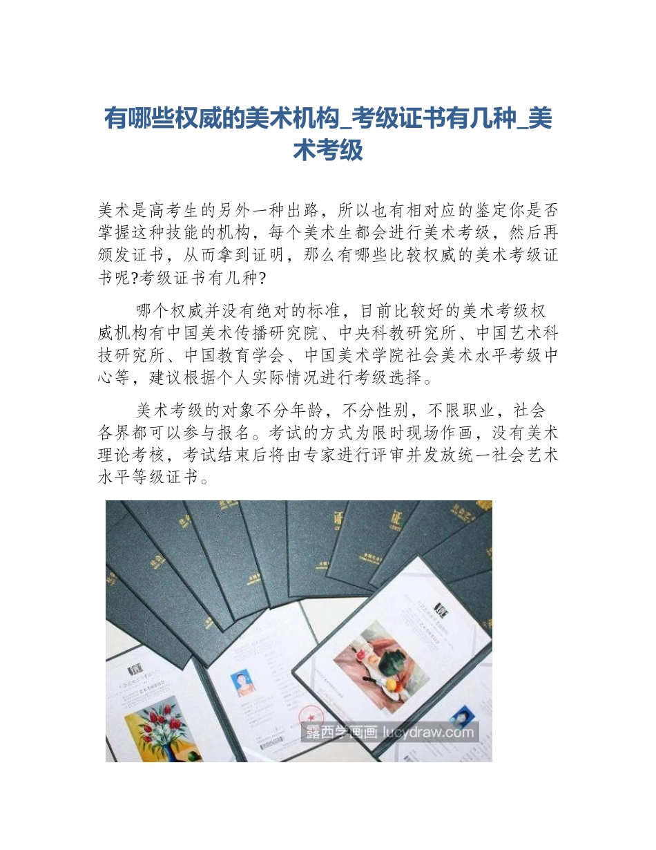 有哪些权威的美术机构_考级证书有几种_美术考级_第1页