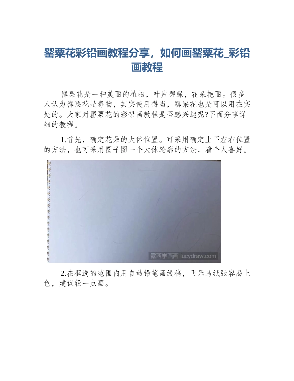 罂粟花彩铅画教程分享，如何画罂粟花_彩铅画教程_第1页