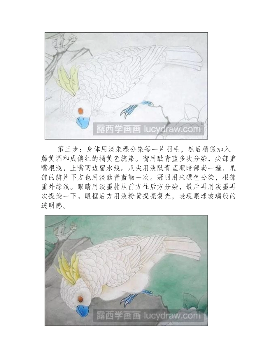 怎么给葵花鹦鹉着色工笔画教程_第2页