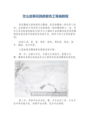 怎么给葵花鹦鹉着色工笔画教程
