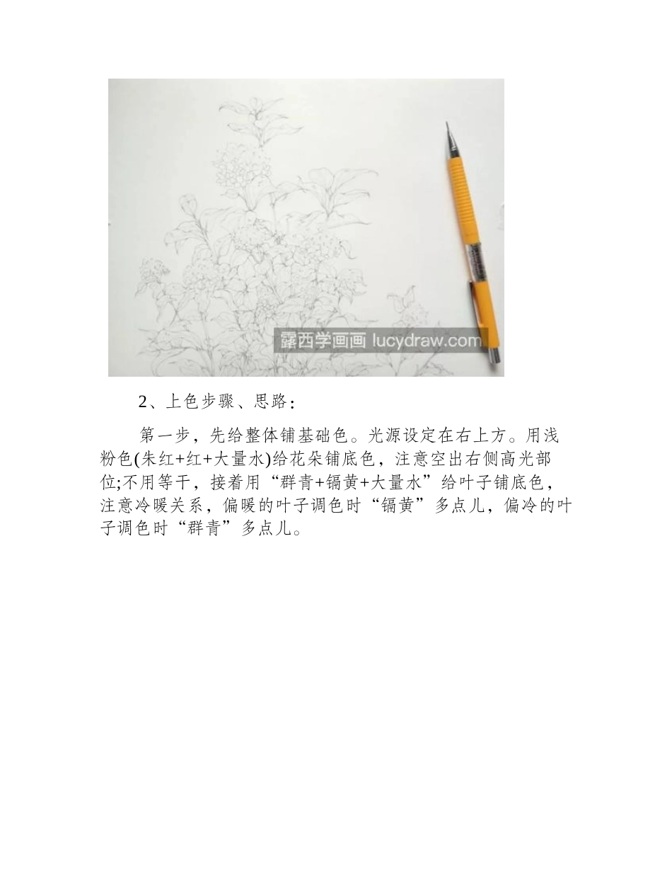 绣球花怎么画_绘画步骤有几步_水彩画教程_第2页