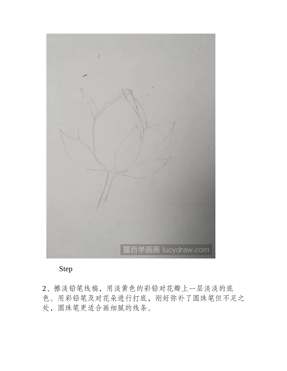 圆珠笔画荷花教程简单易学钢笔画教程_第2页