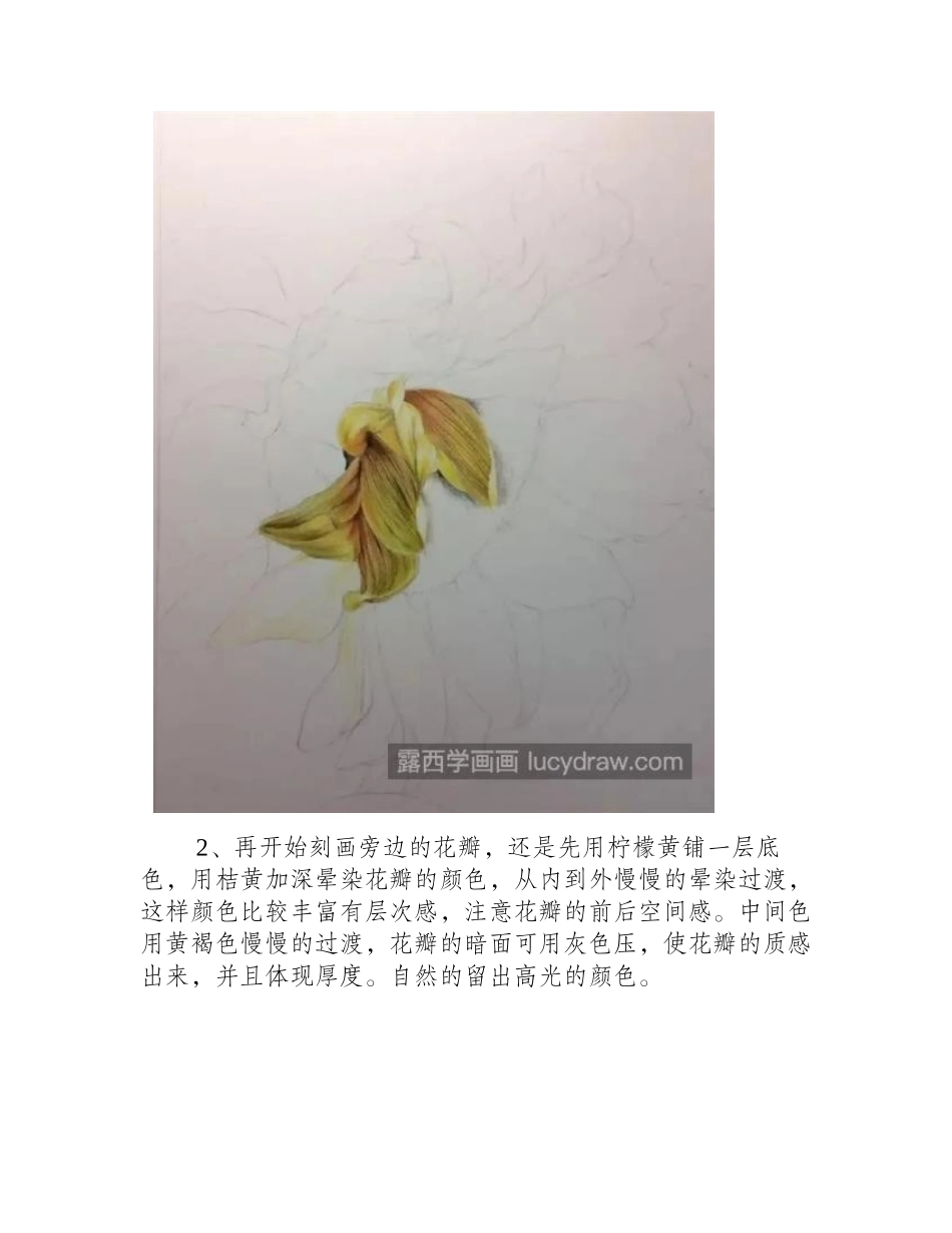 向日葵怎么画_彩铅绘画技法是什么_彩铅画教程_第2页