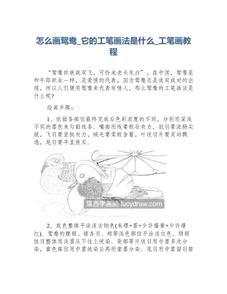 怎么画鸳鸯_它的工笔画法是什么_工笔画教程