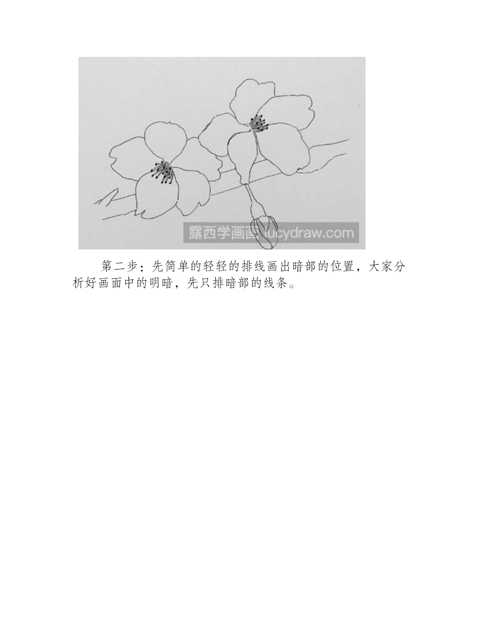 樱花钢笔画教程分享，告诉你如何用钢笔画美丽的樱花钢笔画教程_第2页