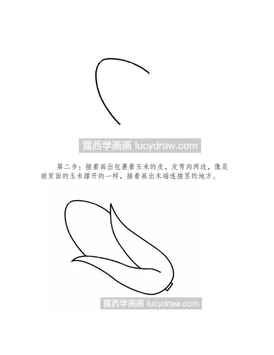 玉米简笔画步骤教程简笔画教程_第2页